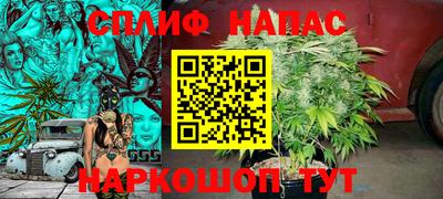 мдпв Шахты