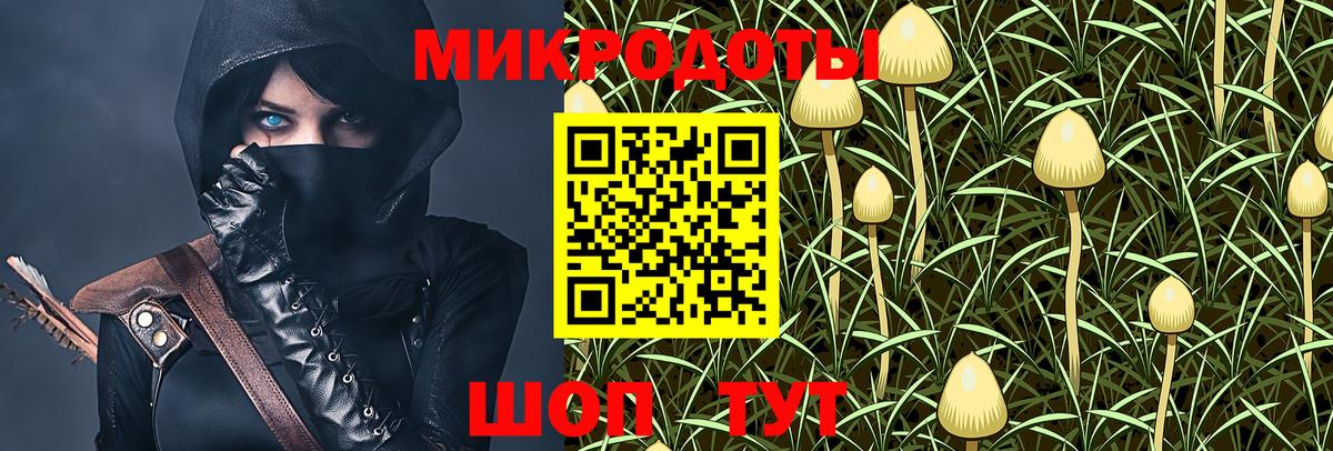 Псилоцибиновые грибы Psilocybine cubensis  Вход с VPN  Ликино-Дулёво 