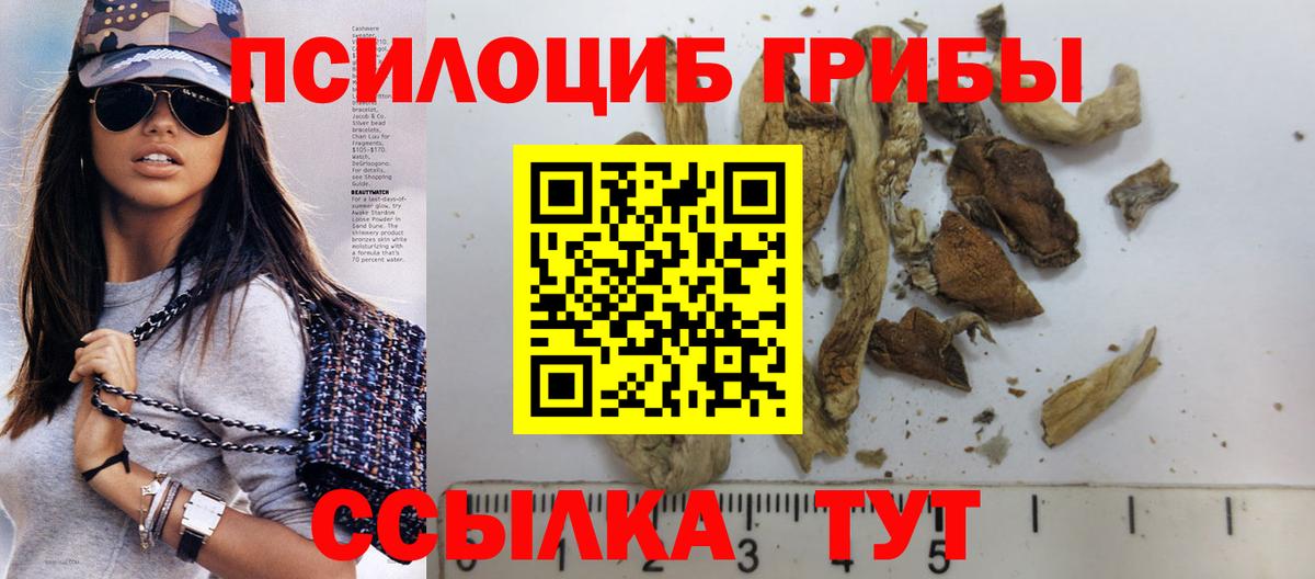 Галлюциногенные грибы Psilocybe Ликино-Дулёво